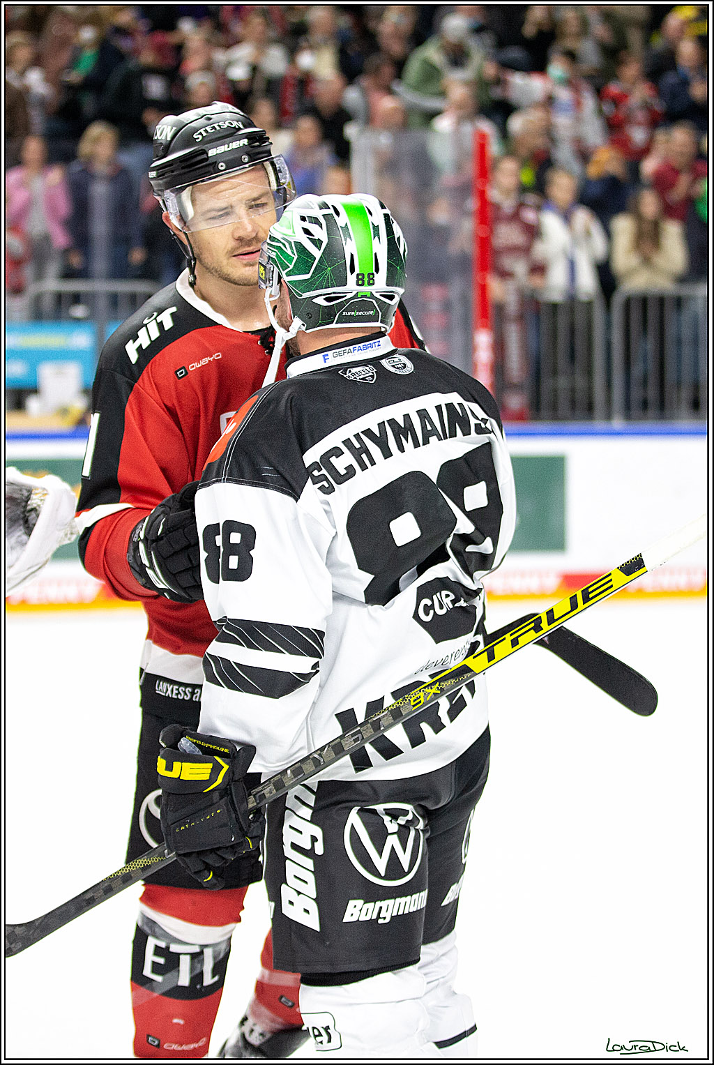 PENNY DEL;  Koelner Haie - Krefeld Pinguins; Koeln, 31.10.2021